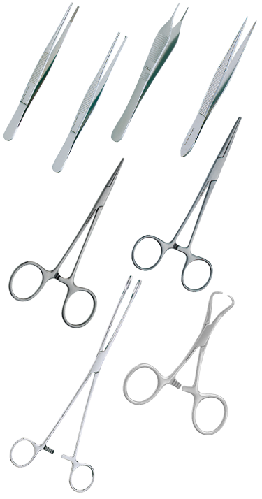 Forceps Foerster Sponge Sterile Serrated 9 1/2” Straight (1/EA) by Pro Advantage  ID N407225